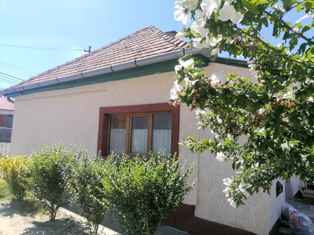 Ferienhaus Lankas Vendeghaz - Hollókő
